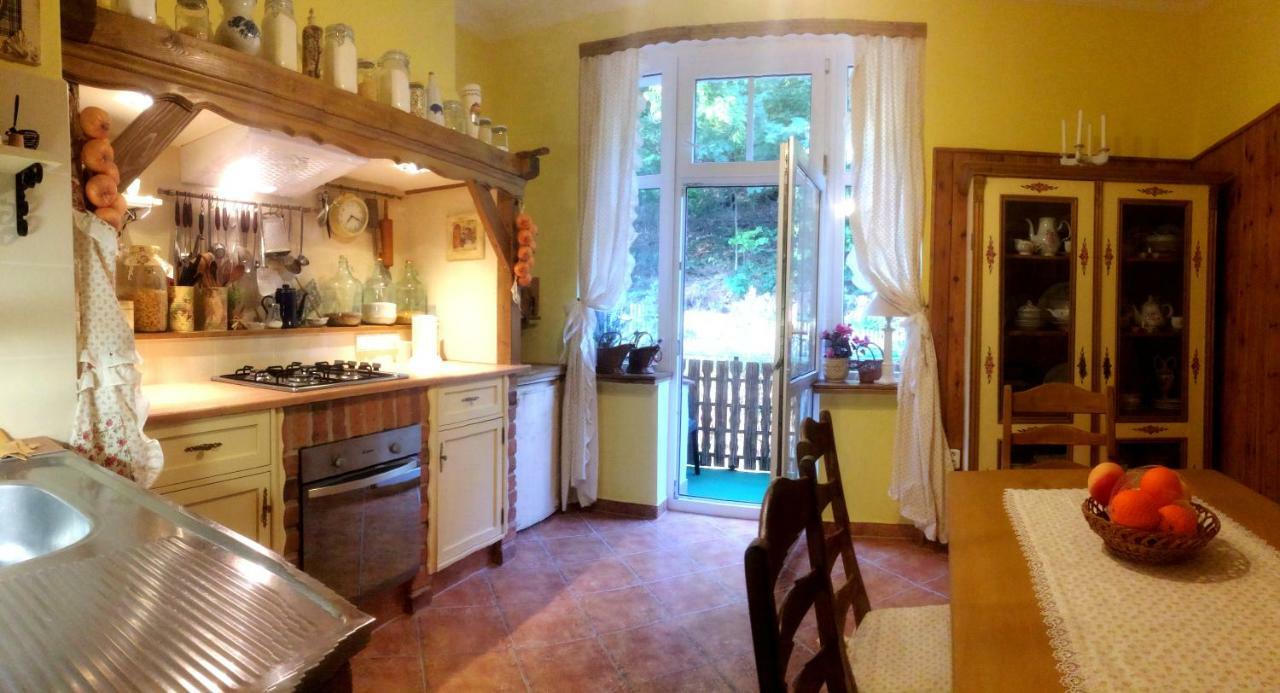 Ria Apartment Vyhlidka 卡罗维发利 外观 照片